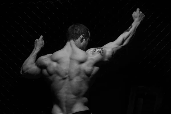 Muscled Male Model Showing His Back — Stock Photo, Image