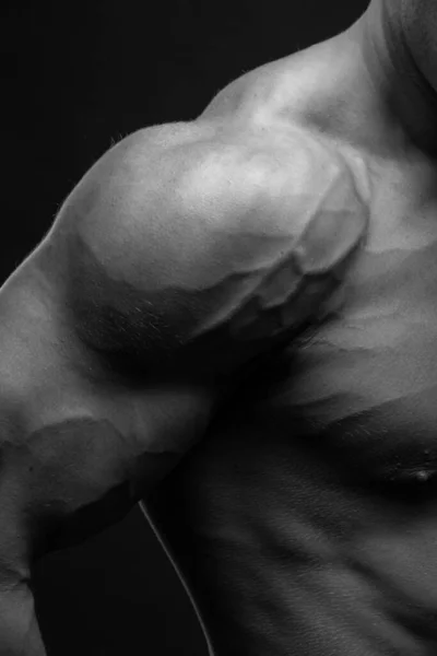 Epaule Mâle Musclée Avec Veines — Photo