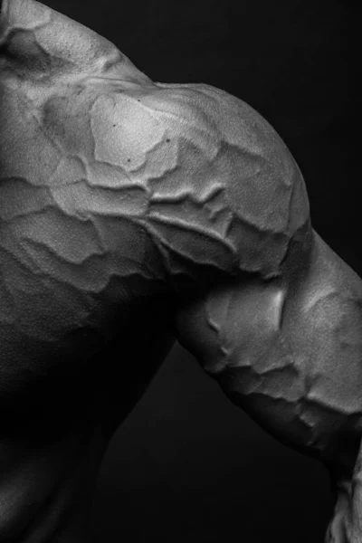 有血管的有肌肉的男性肩部 — 图库照片