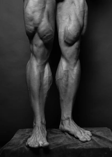 Muscled Male Legs Isolated Background — Stock Photo, Image