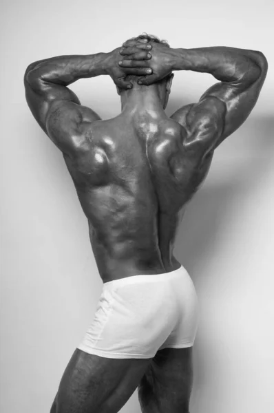 Muscled male model showing his back