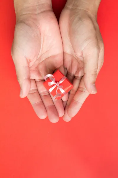 Geschenkbox in Palme — Stockfoto