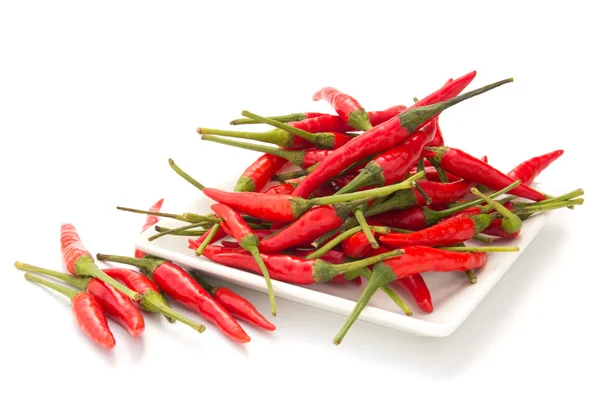 Červená chilli — Stock fotografie