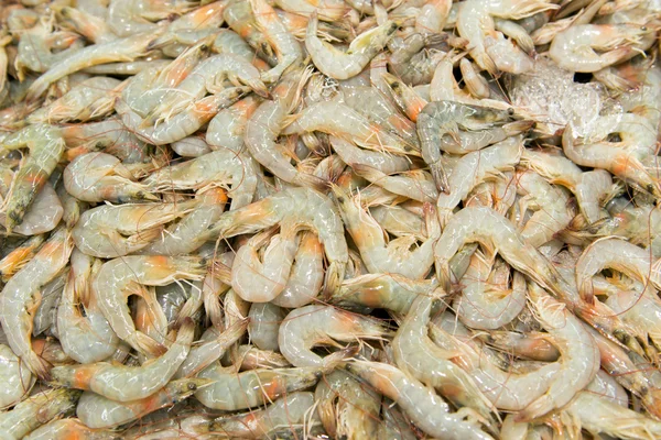 Syrové krevety — Stock fotografie
