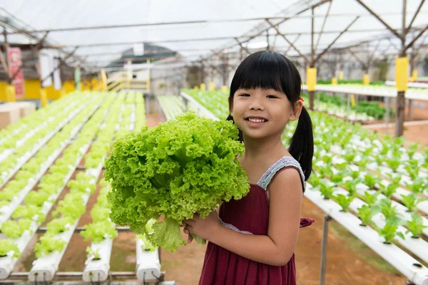 Exploração de criança vegetal — Fotografia de Stock