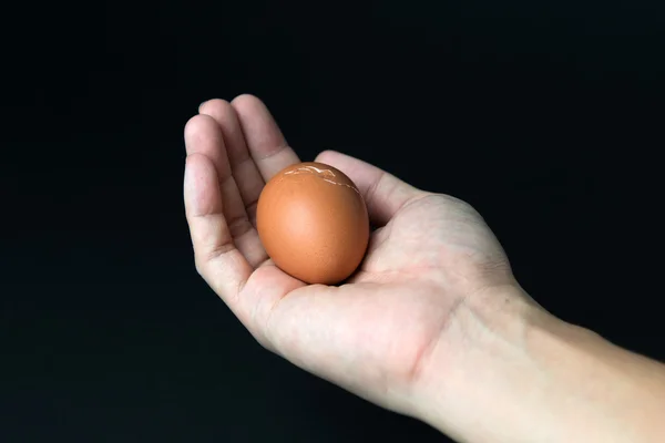 Hand mit Ei — Stockfoto