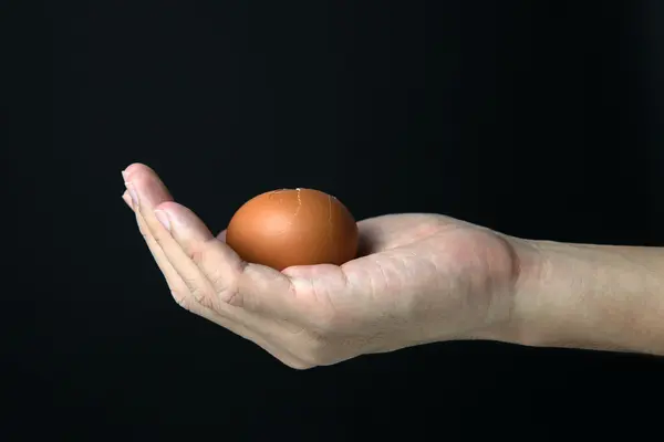 Mão com ovo — Fotografia de Stock