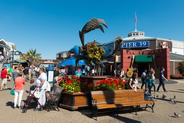 Rıhtım 39 San Francisco