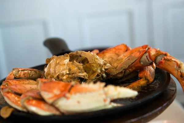 Dungeness crab — Stockfoto