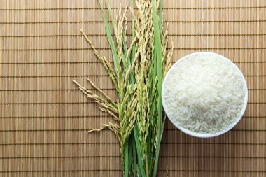Paddy and rice grain clipart