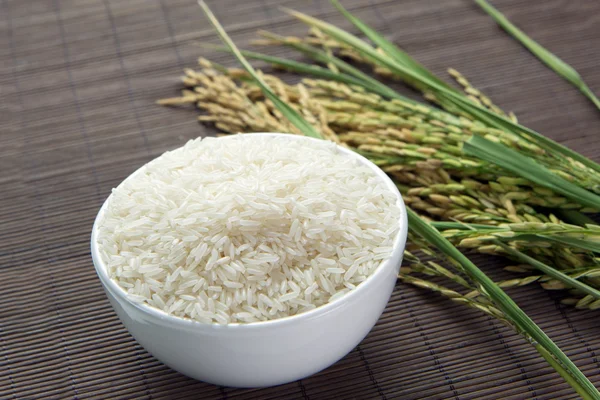 Paddy and rice grain — Stock Photo, Image