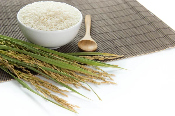 Arroz y grano de arroz — Foto de Stock