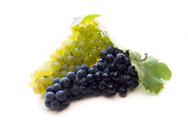 Uvas de vinho — Fotografia de Stock