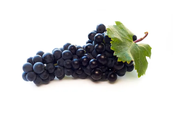 Uvas de vinho tinto — Fotografia de Stock