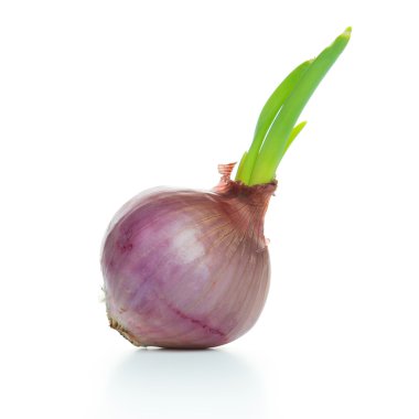 yeni yaşam konsepti
