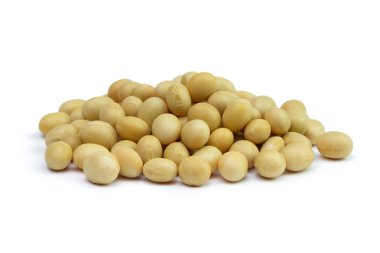 soya fasulyesi
