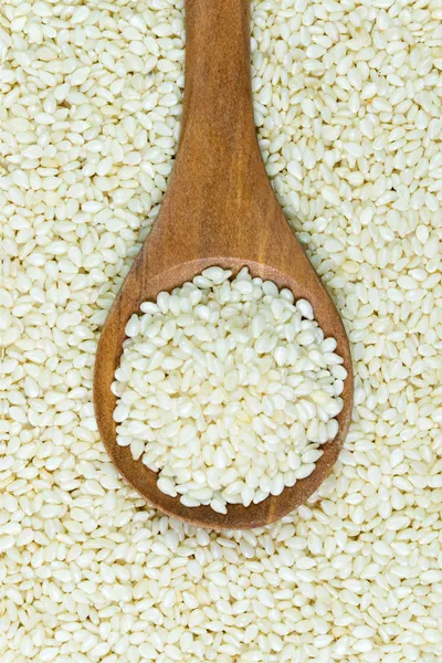 White sesame — Stock Photo, Image