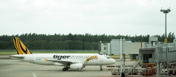 Tiger Airways — Stock Photo, Image