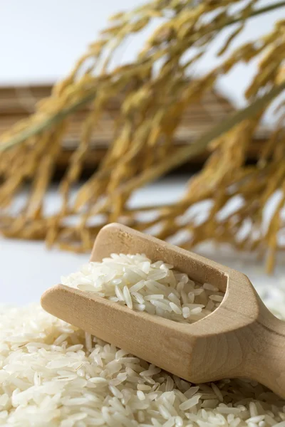Cereale de orez — Fotografie, imagine de stoc