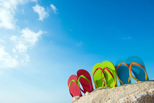 Verano. — Foto de Stock