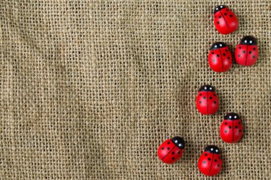 ladybugs topçu üzerinde 