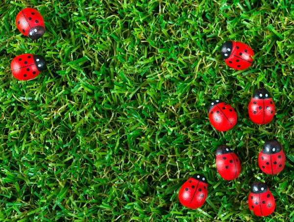 Jardín de primavera — Foto de Stock