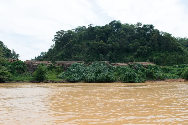 Sito di taglio del legname lungo il fiume Sarawak Rejang — Foto Stock