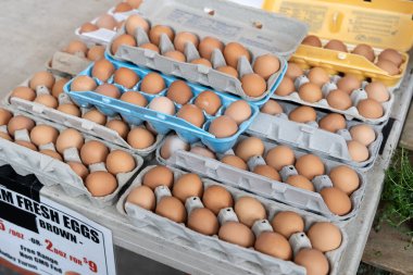 Fresh farm brown chicken eggs for sale at local farmers market