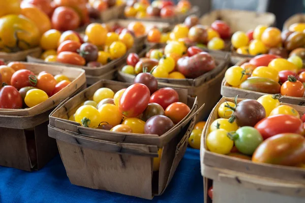 Multicolored tomatoes in small bucket side view, pattern of yellow, red and orange cherry tomatoes. harvest in summer