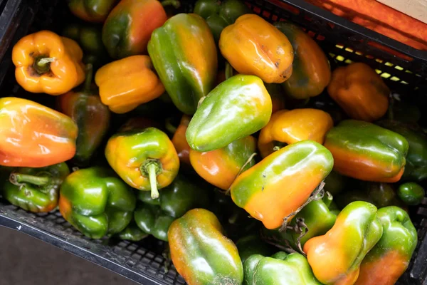 Bio Und Frisch Gemischte Paprika Paprika Etui Auf Dem Markt — Stockfoto