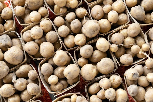 Verse Biologische Bruine Ongepelde Aardappelen Emmers Een Zomerboerenmarkt — Stockfoto