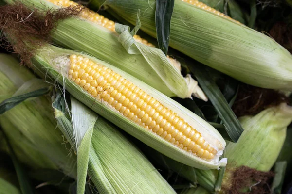 Orejas Maíz Dulce Amarillo Recién Cosechado Mercado Local Agricultores —  Fotos de Stock