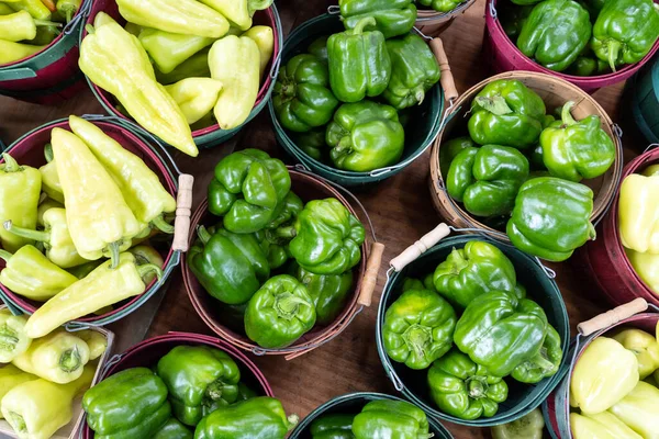Ekologické Čerstvé Zelené Papriky Paprika Případě Trhu — Stock fotografie