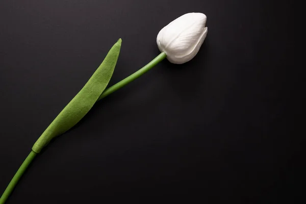 Tiro Detalhado Uma Única Tulipa Branca Artificial Fundo Escuro — Fotografia de Stock