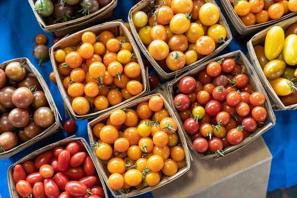 Multicolored Tomatoes Small Bucket Top View Pattern Yellow Red Orange — 스톡 사진