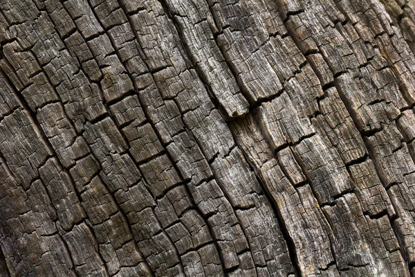 Verbranntes Holz. — Stockfoto