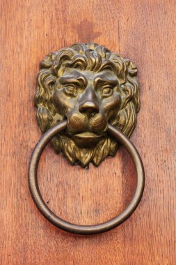 Aslan baş kapı kolu.