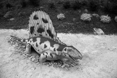 dimetrodon (pelicosaur). model dinozor (leba, Polonya).