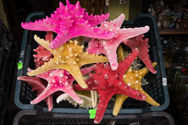 Starfish (Asteroidea) at market. — Stock Photo, Image