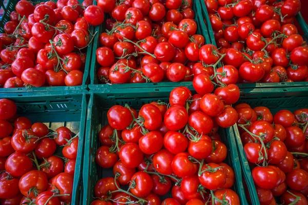 Tomates en el mercado de verduras . —  Fotos de Stock