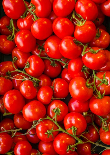 Red tomatoes at vegetables market. — Stock Photo, Image
