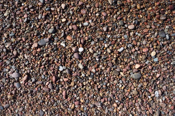 Pebbles on Baltic beach. Natural Background. — Stock Photo, Image