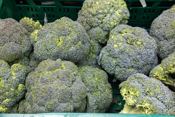 Brotes de Bruselas en el mercado de hortalizas . —  Fotos de Stock