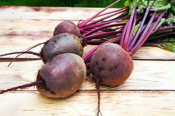 Beterrabas Frescas Beterraba Vermelha Beta Vulgaris Com Folhas Verdes Sobre — Fotografia de Stock