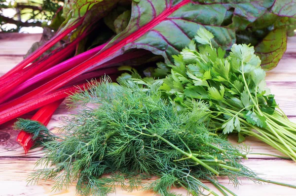 Endro Verde Fresco Salsa Folhas Verdes Acelga Com Talos Vermelhos — Fotografia de Stock