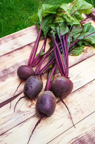 Beterrabas Frescas Beterraba Vermelha Beta Vulgaris Com Folhas Verdes Sobre — Fotografia de Stock