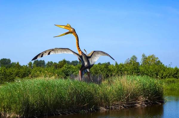 เลบา โปแลนด กรกฎาคม 2012 แบบจ าลองของไดโนเสาร Pterosaur ในอ ทยาน Jurassic — ภาพถ่ายสต็อก