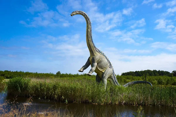 Leba Polska Lipca 2012 Model Sejsmozaura Dinozaura Diplodocus Parku Jurajskim — Zdjęcie stockowe