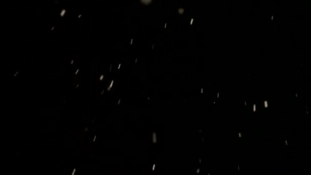 Nevicando — Video Stock