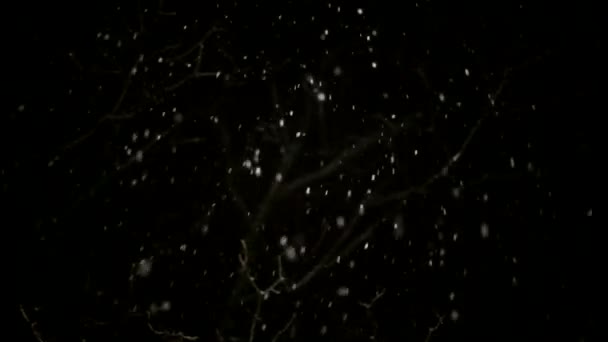 Sněžení — Stock video